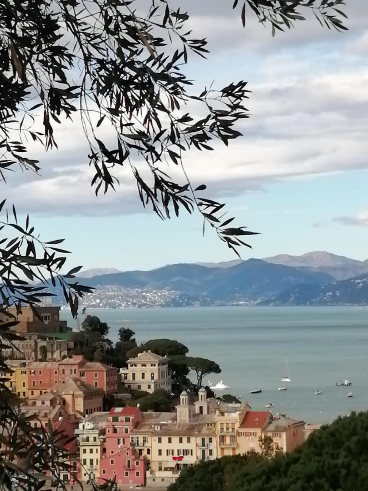 Silent Bay Apartments Sestri Levante Dış mekan fotoğraf
